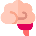 brain
